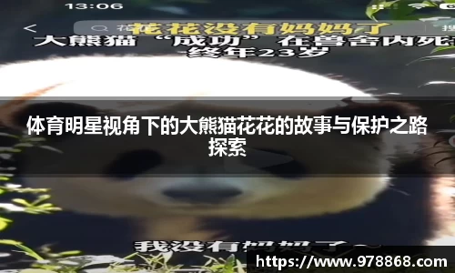 星空体育(中国)官方网站