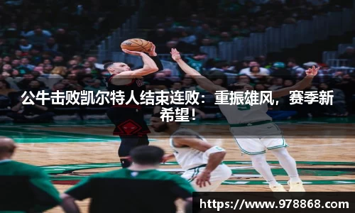 星空体育网站入口