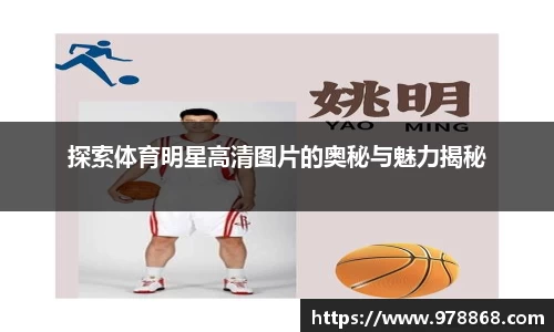 星空体育网站入口