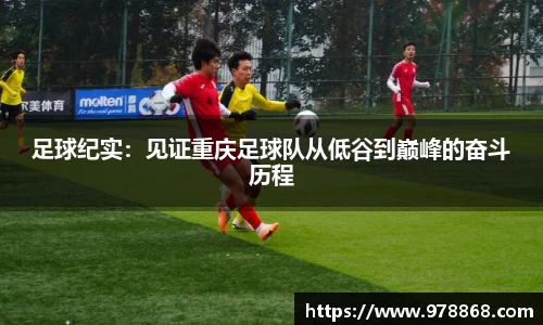 星空体育(中国)官方网站
